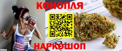 гашик Гагарин