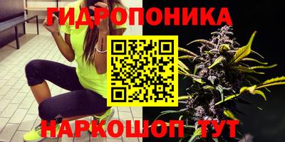 гашик Гагарин